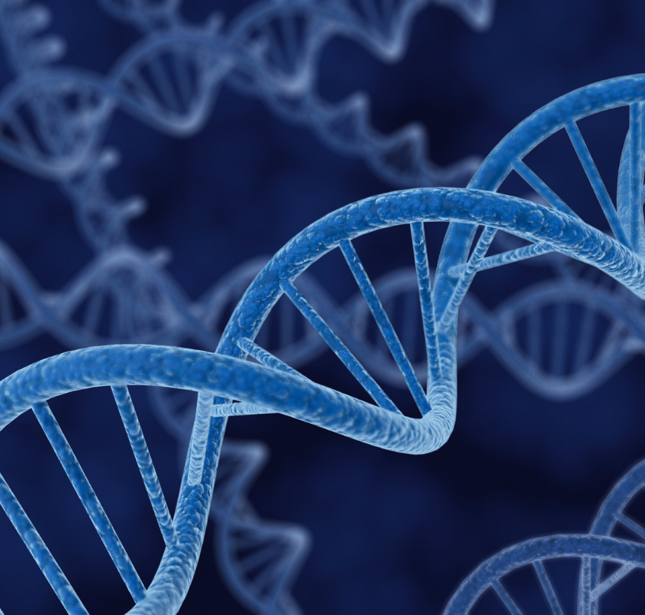 Untitled design (29)